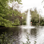Bad Orb Kurpark im Frühling - Teich mit Springbrunnen